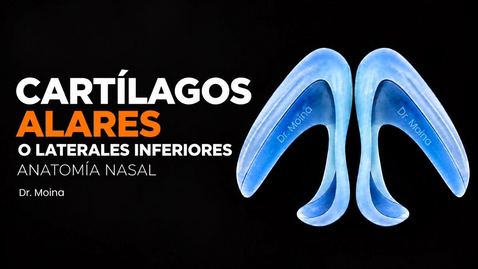 Carátula educativa de los cartílagos alares o laterales inferiores