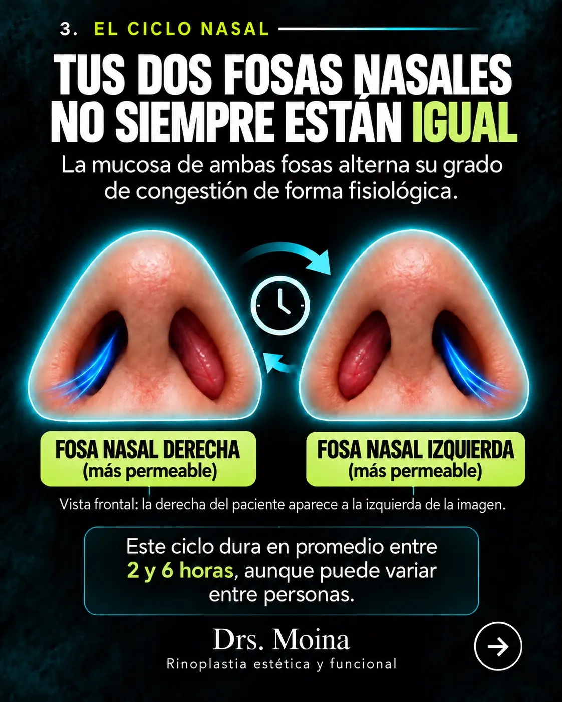 Conclusión: respirar bien no es tener un agujero más grande: ilustración educativa sobre anatomía y respiración nasal