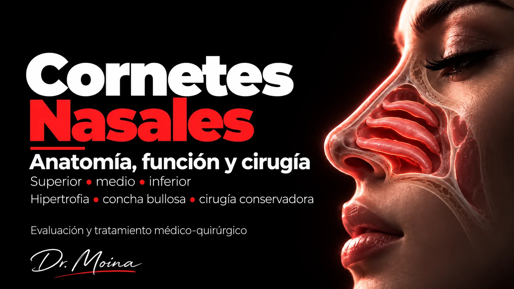 Cornetes nasales: anatomía, función y cirugía