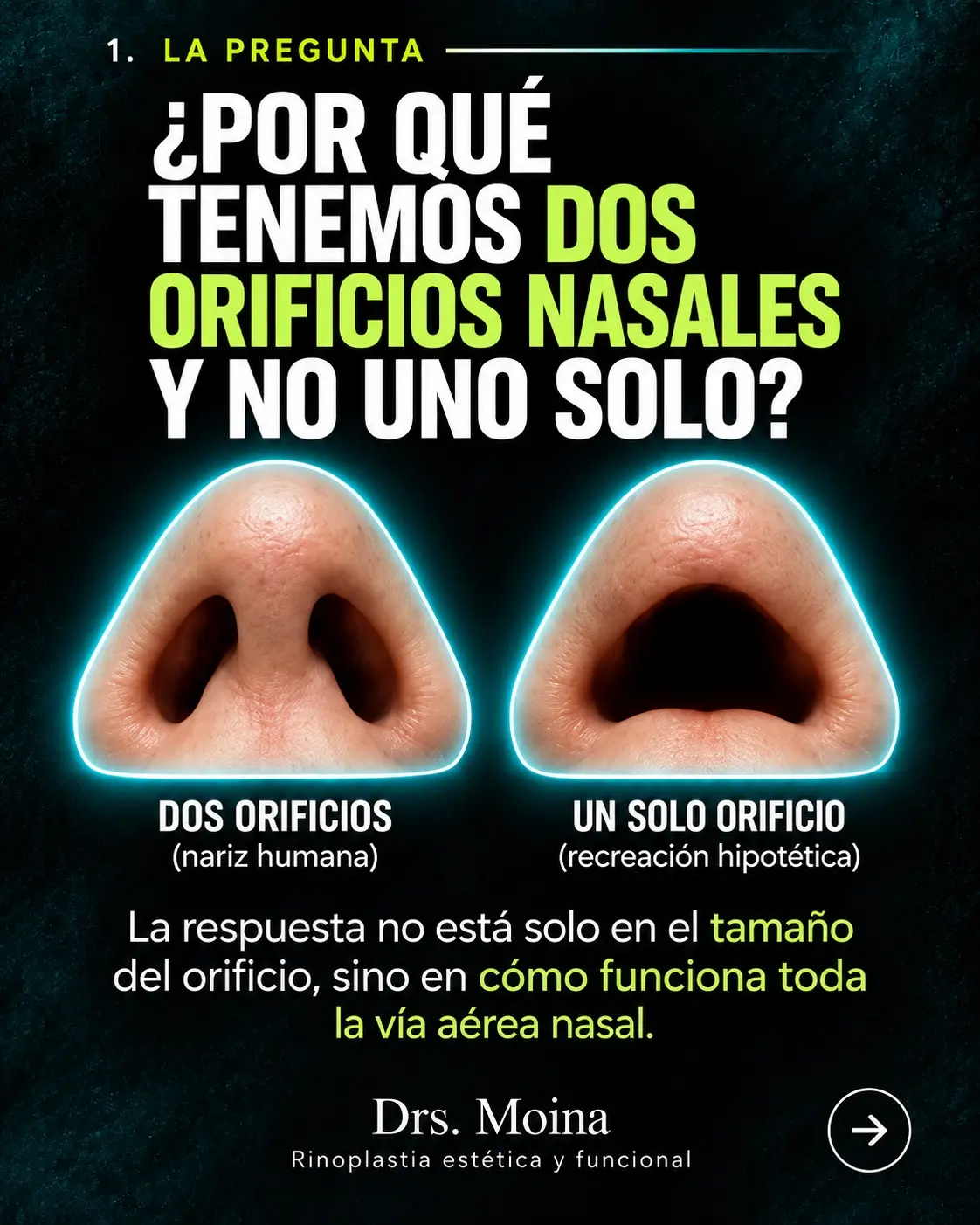 La pregunta: ¿por qué tenemos dos orificios nasales?: ilustración educativa sobre anatomía y respiración nasal